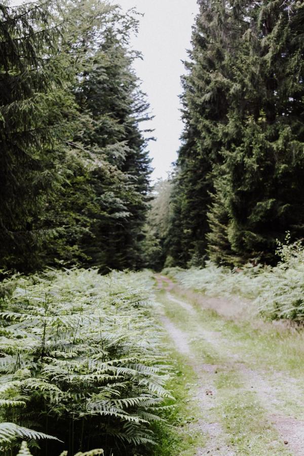 4-Zimmer-Ferienwohnung Waldbluemle Dobel Zewnętrze zdjęcie