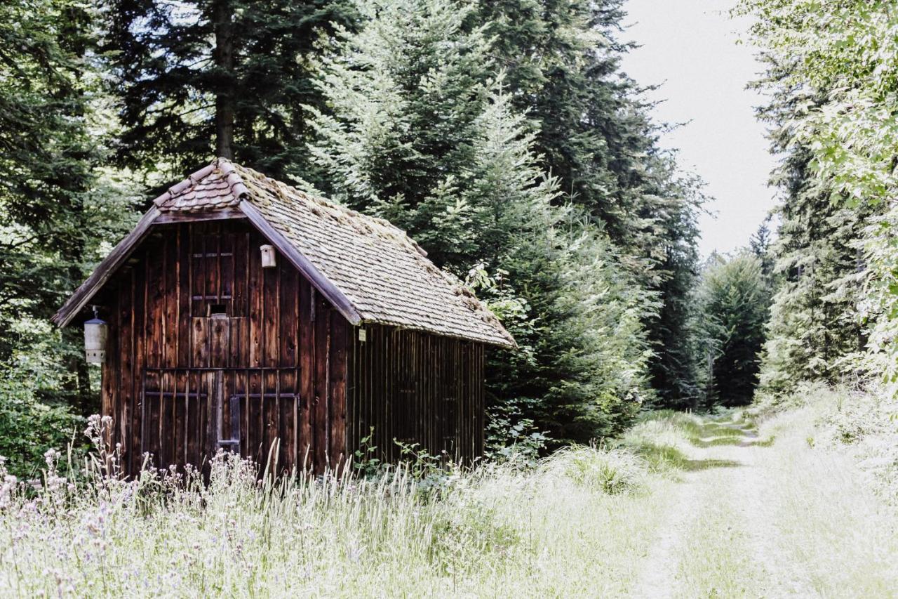4-Zimmer-Ferienwohnung Waldbluemle Dobel Zewnętrze zdjęcie